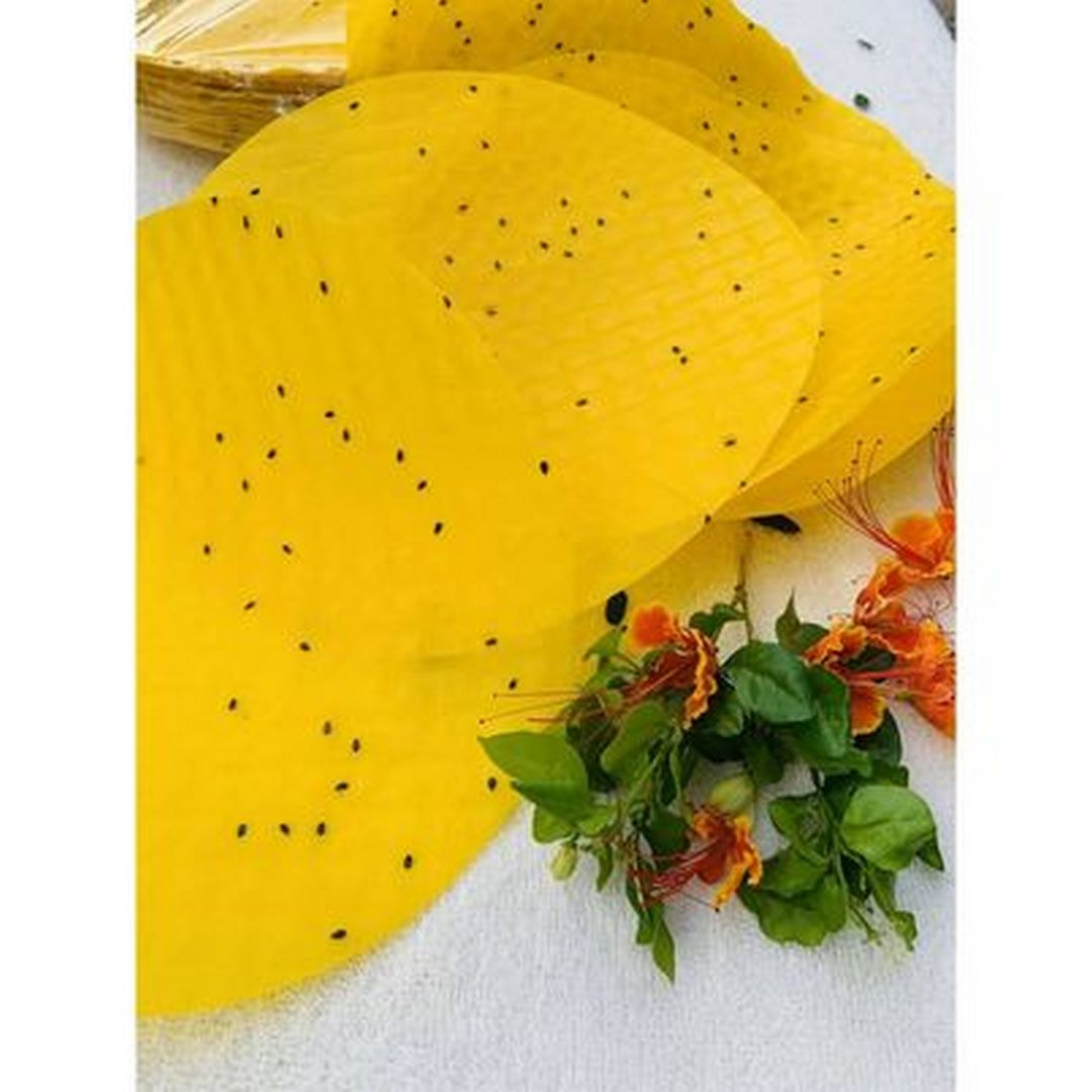 Bánh Tráng Nướng Mè Vàng - 250G