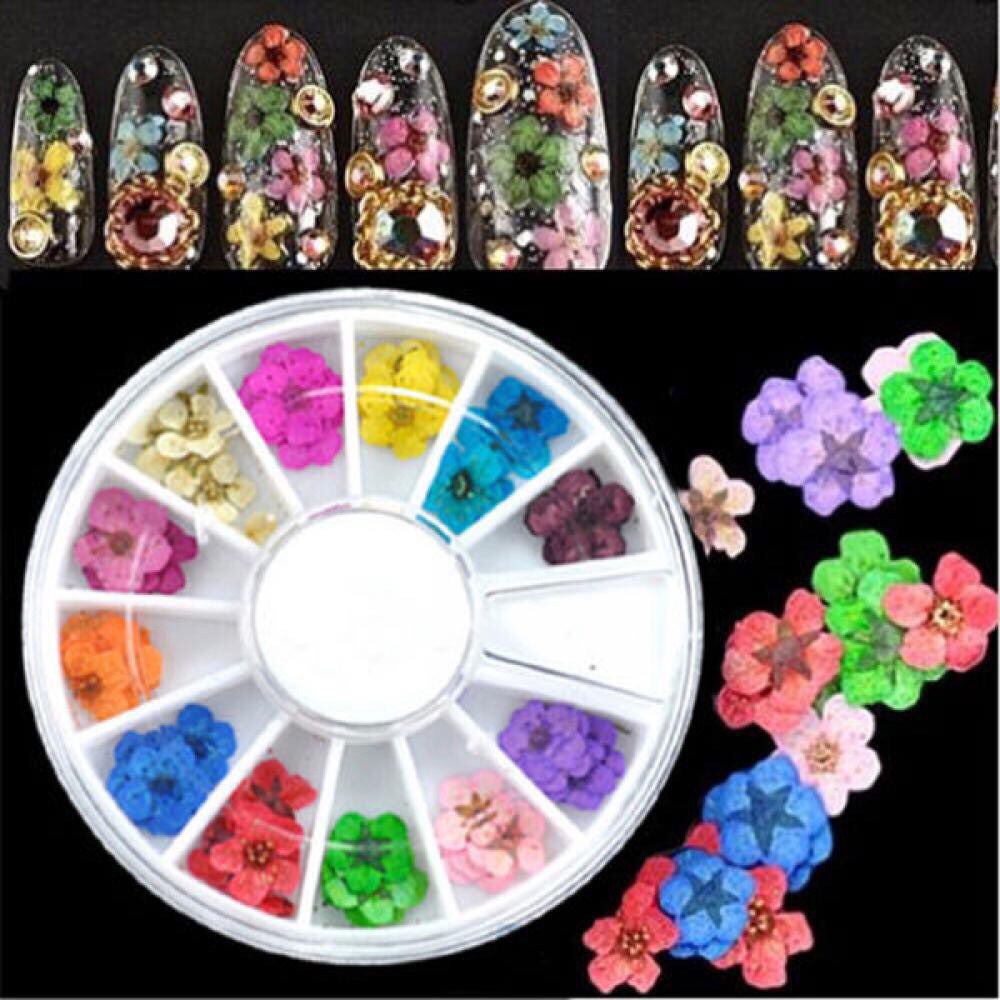 Hoa khô đắp bột,đắp gel ẩn Nail