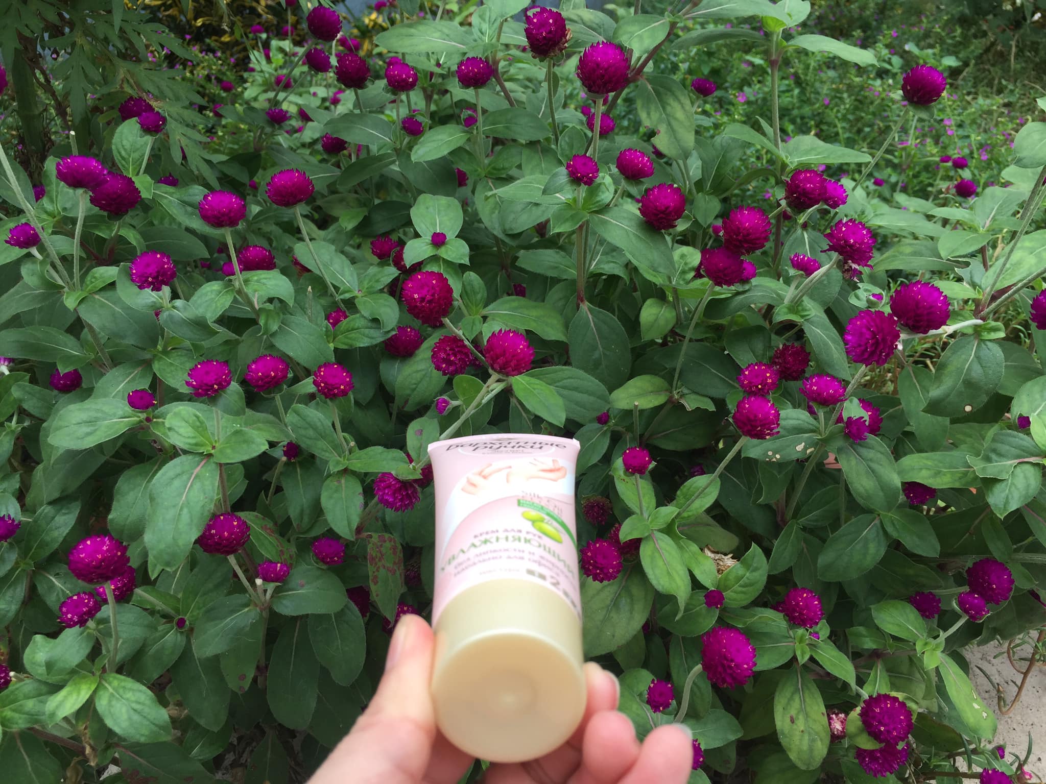 Kem dưỡng da tay Nga tinh chất Olive 80 ml