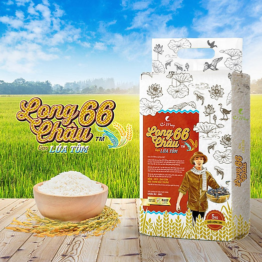 Gạo ST25 Long Châu Lúa Tôm 66( Chứng Nhận Xuất Khẩu BRC Châu Âu)