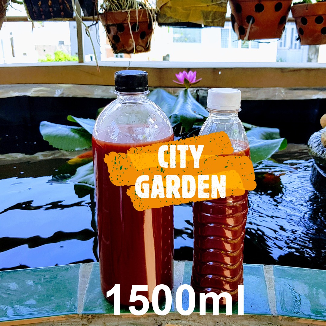 [APP FREESHIP 30K] 1500ml Vi khuẩn quang hợp, vi khuẩn PSB, vi sinh tươi (HÀNG MÀU ĐỎ ĐẬM)