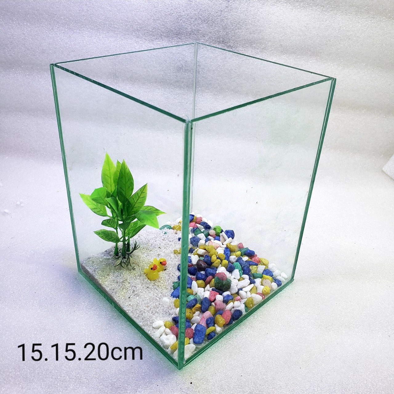 bể cá mini - bể cá mini để bàn cao20cm