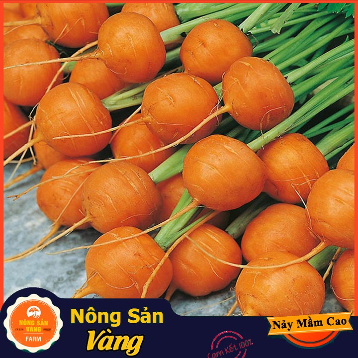 [HCM]Hạt giống Cà Rốt Củ Tròn ( 05 Gram ) - Nông Sản Vàng