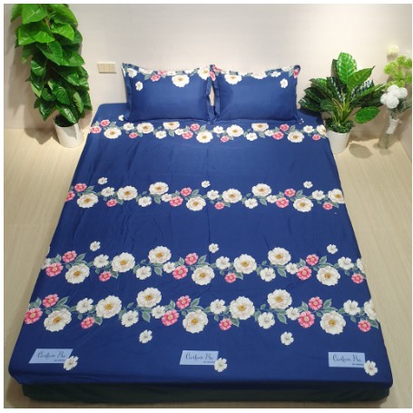 Bộ ga và 2 vỏ gối cotton poly mẫu cúc hoạ mi