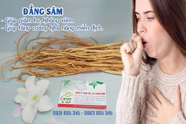 Đẳng Sâm 100g Hàng CTy - Thảo Dược Thanh Bình