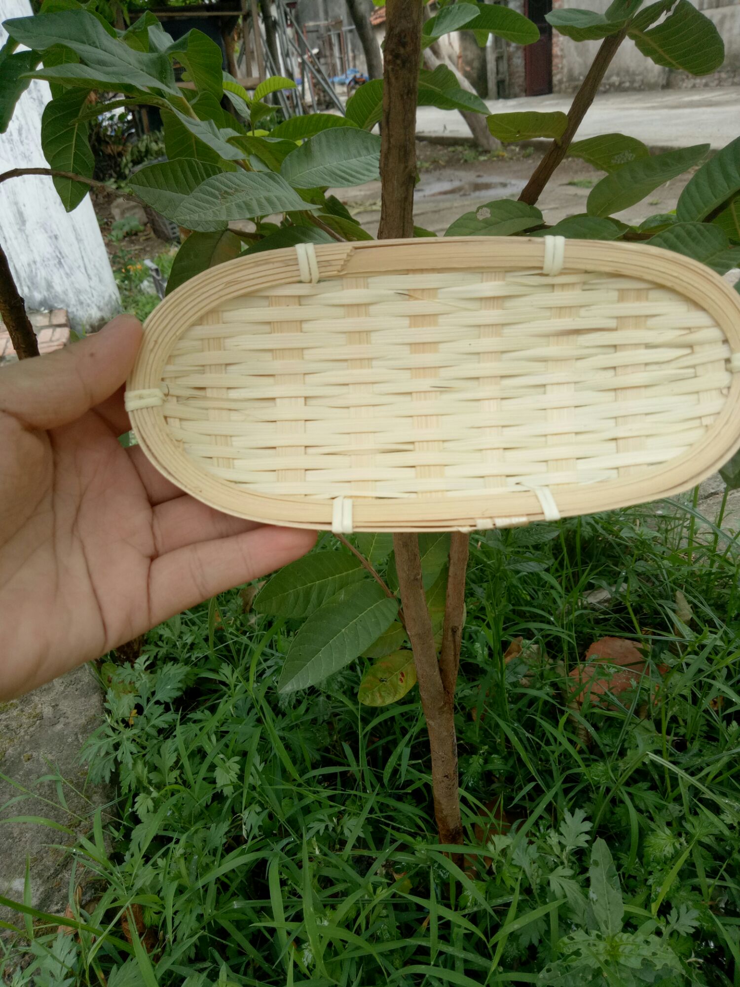 Mẹt tre oval 8*18cm