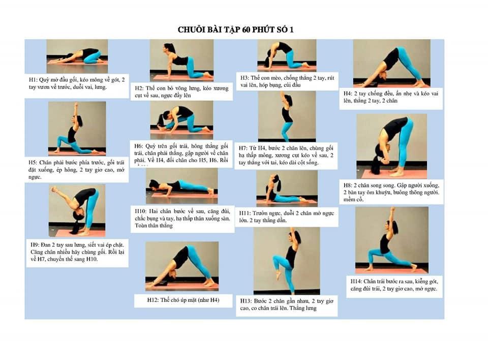 CÁC CHUỔI YOGA TRONG TẬP LUYỆN
