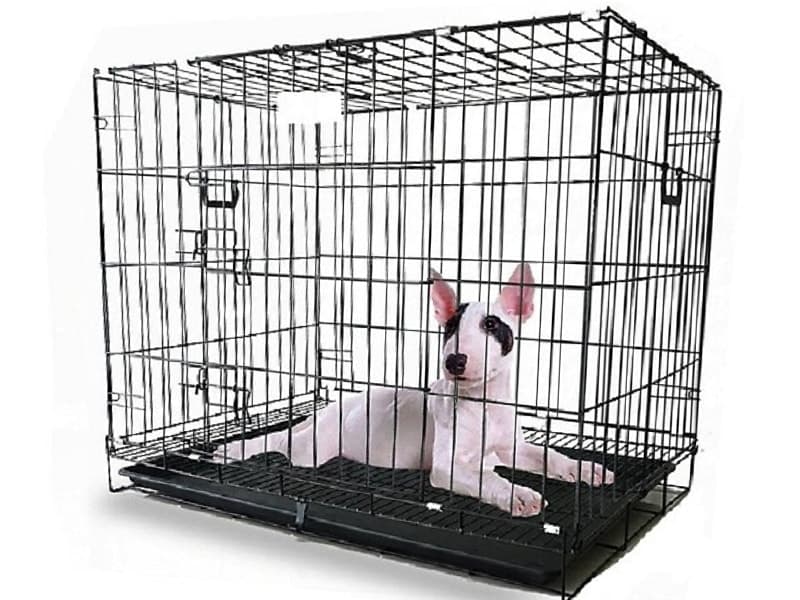 LỒNG SẮT TĨNH ĐIỆN VÂN ĐÁ CHO CHÓ MÈO