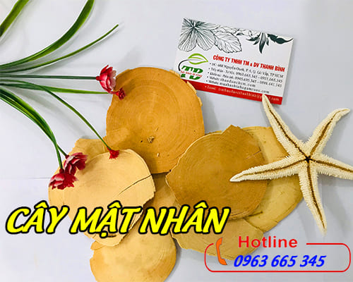 Cây Mật Nhân Khô 1KG - Thảo Dược Thanh Bình