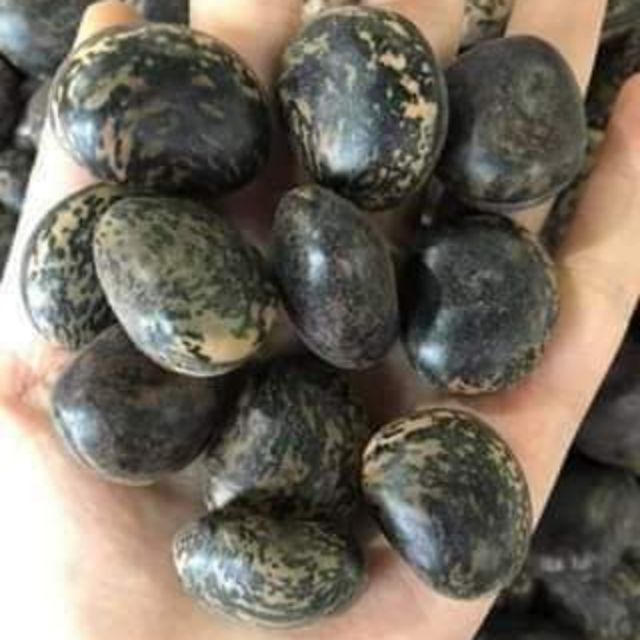 Hạt đậu lào
