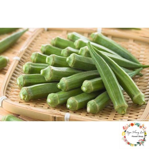 Hạt Giống Đậu Bắp Cà Bắp Lai Ấn Độ - Gói 20 Gram