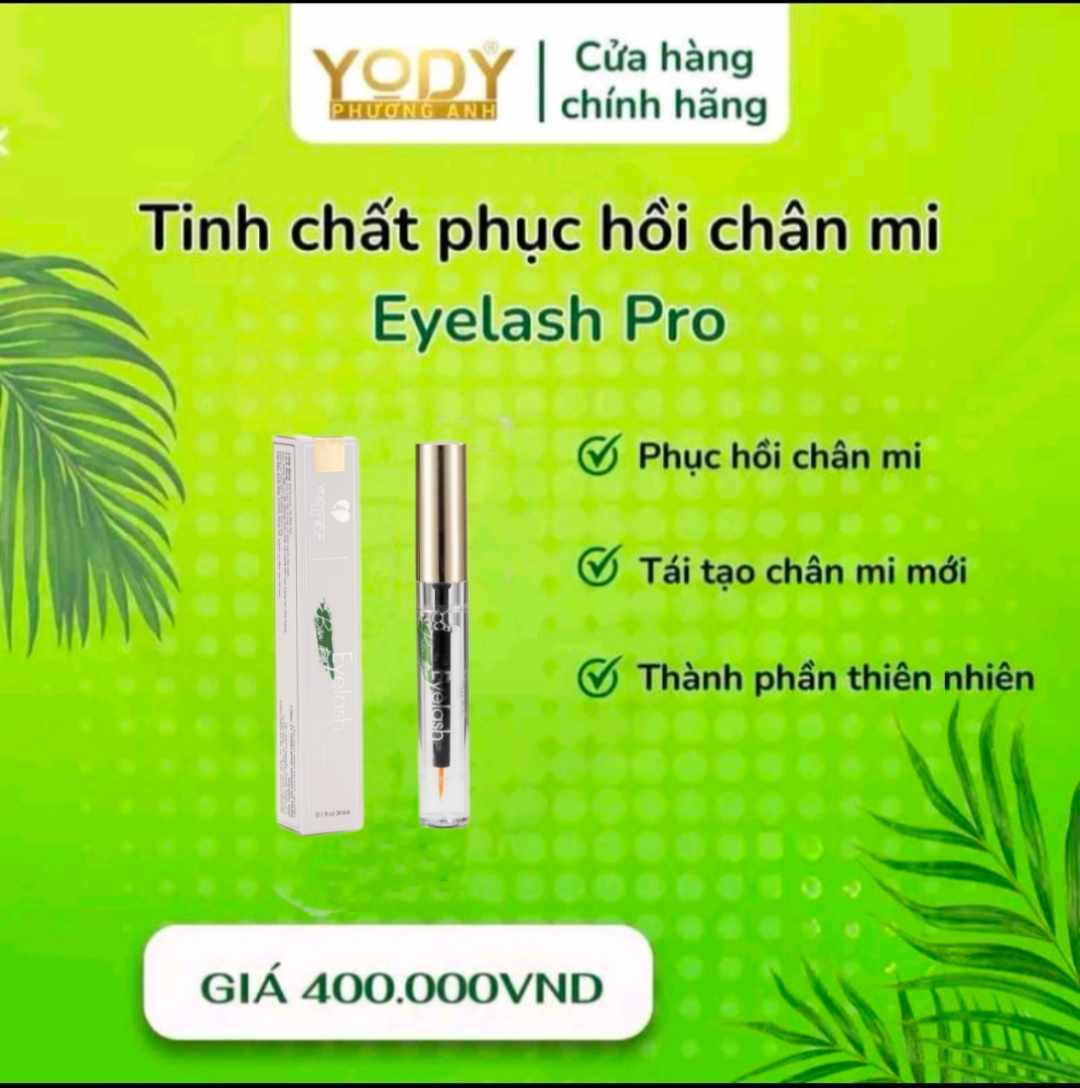 KÍCH MỌC VÀ DÀI MI PHƯƠNG ANH