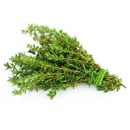 Hạt Giống Cỏ Xạ Hương