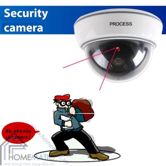 CAMERA MÔ HÌNH CHỐNG TRỘM DS-1500B