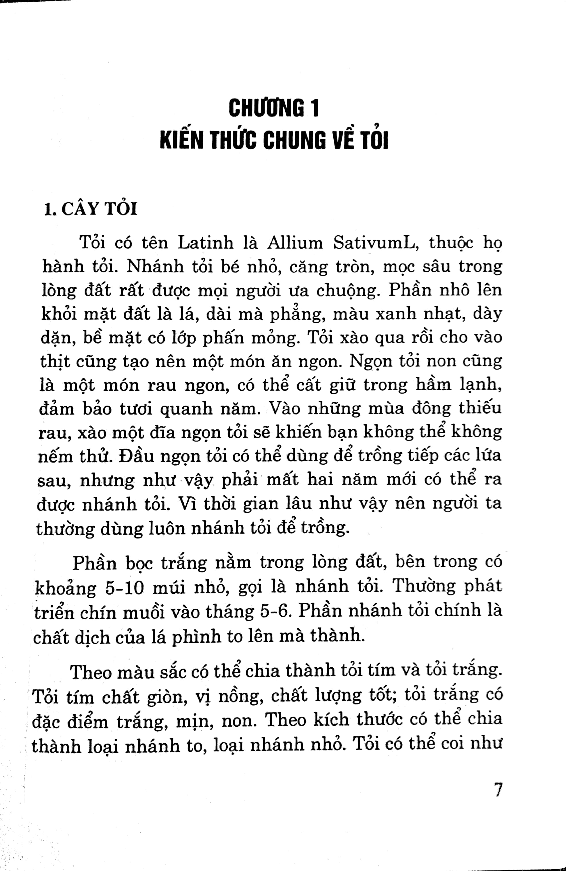 Fahasa - Tỏi Chữa Bách Bệnh