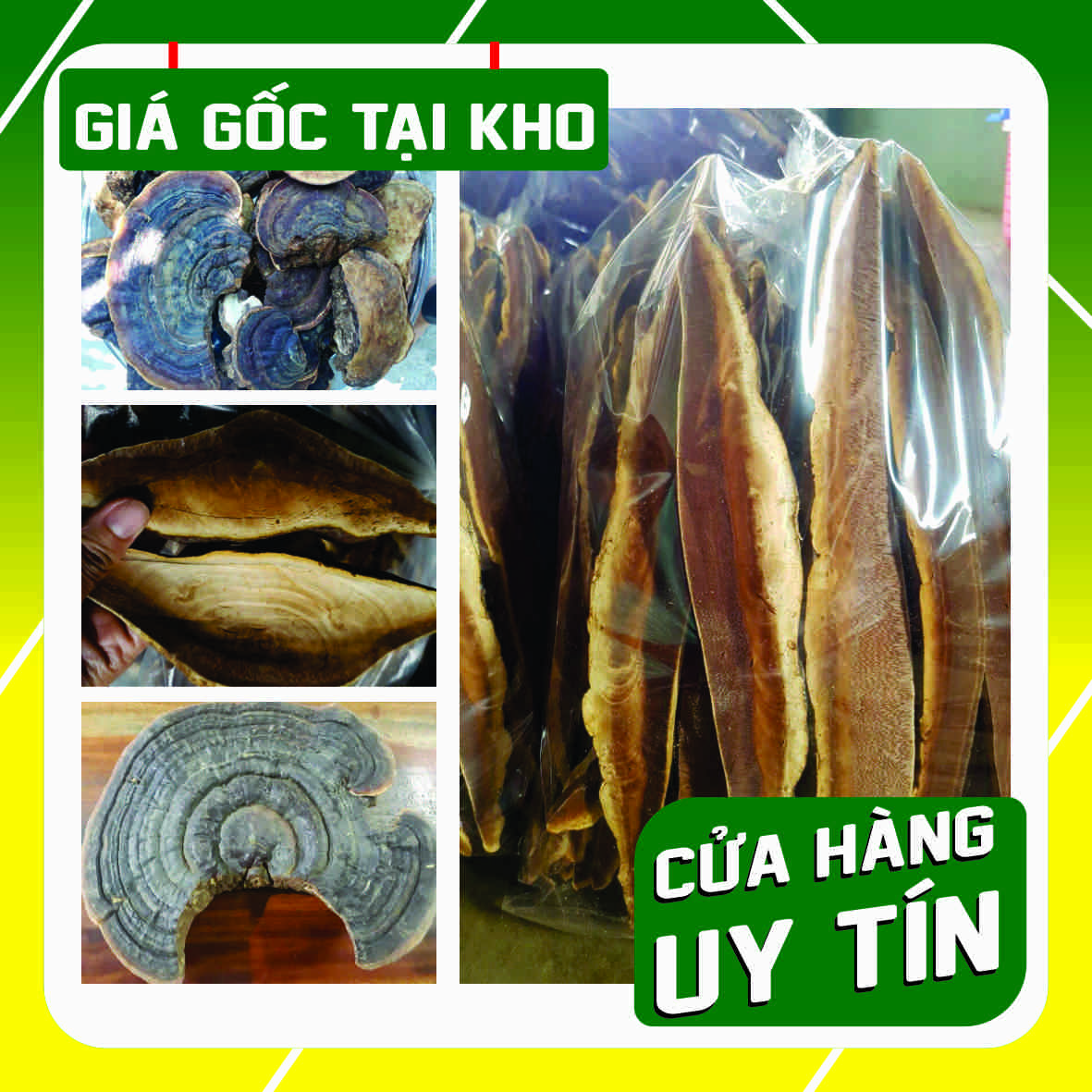 Nấm linh chi rừng thái lát, nguyên miếng [ 1kg ] - Đặc sản Tây Nguyên