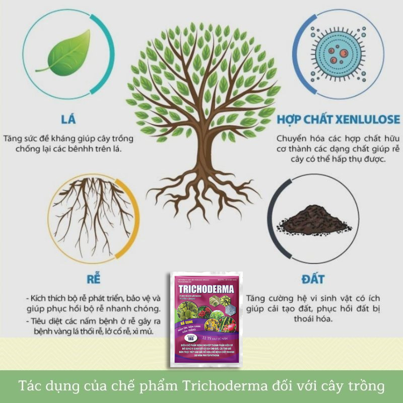 Phân bón hữu cơ Trichoderma 1KG kháng bệnh hấp thụ cho cây JVO25 NongNghiepVietNhat