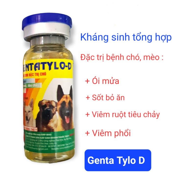 MH Genta Tylo D (10ml) (KS Chó, mèo)