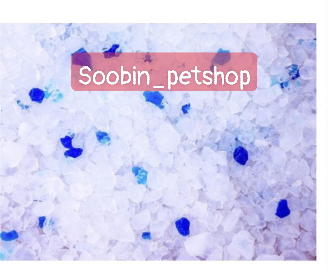 Cát thủy tinh cho mèo 3.8L (Cat Litter silicon )
