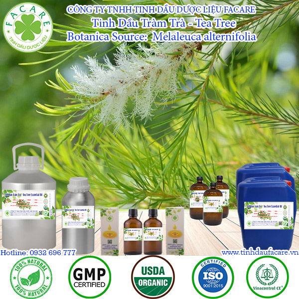 Tinh dầu Tràm Trà Tea tree essential oil - 10ml