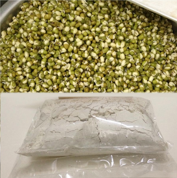 bột mầm đậu xanh 1kg