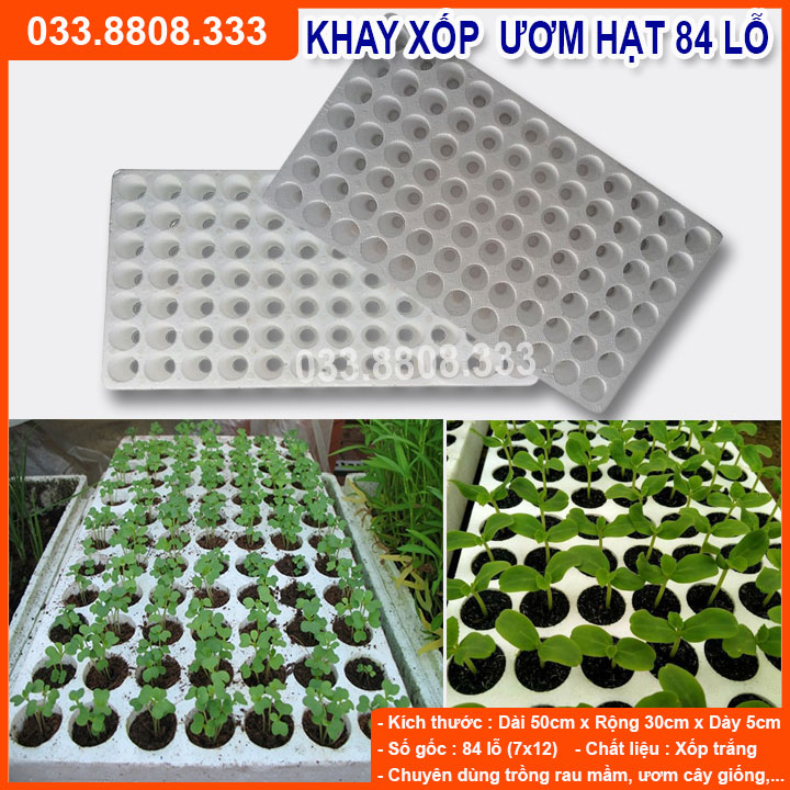 KHAY XỐP ƯƠM HẠT GIỐNG HOẶC TRỒNG THỦY CANH TÁI SỬ DỤNG NHIỀU LẦN