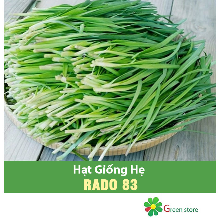 Hạt giống Hẹ Lá