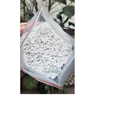 Đá perlite trồng sen đá, giúp đất tơi xốp