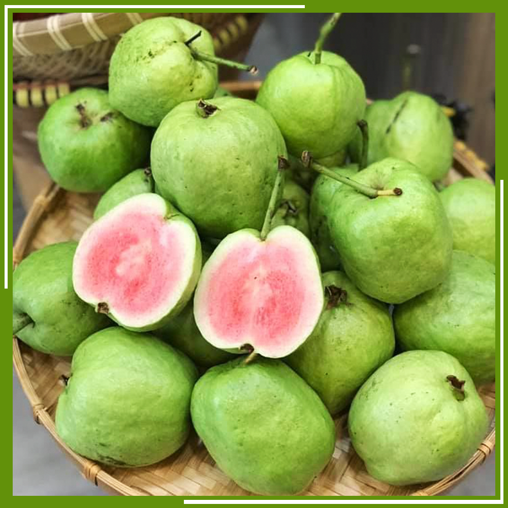 HCM - Ổi ruby ruột đỏ (1 kg) - [Giao nhanh TPHCM]