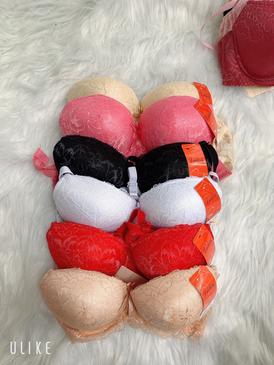 COMBO 3 Áó lót ren đệm 3cm 34,36,38