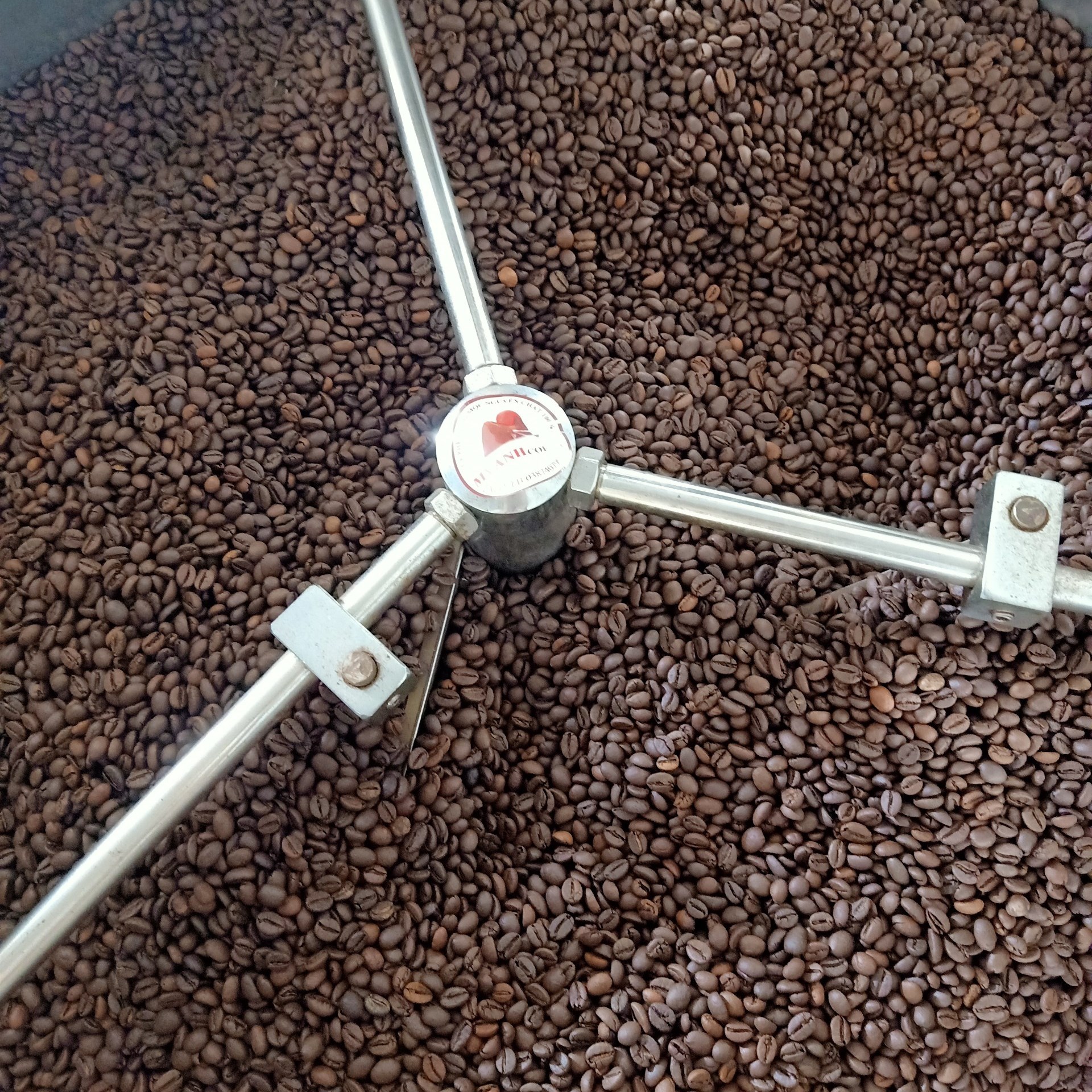 100gr cà phê Robusta rang mộc (tỉ lệ hái chín> 98%) - Cafe sạch Lâm Đồng - MYANH Coffee