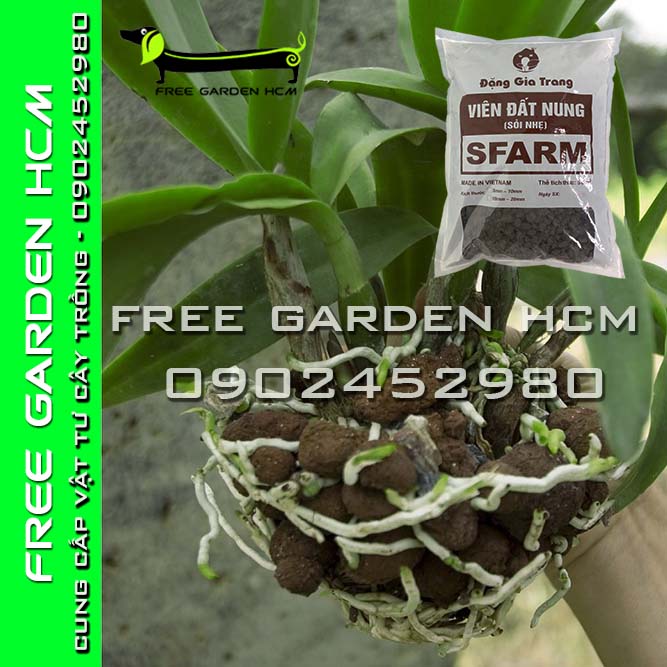 GÓI 5dm3 (3kg) ĐẤT NUNG SFARM/ SỎI NHẸ