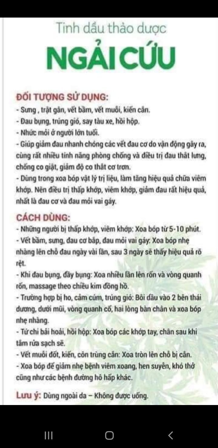 Tinh dầu ngải cứu