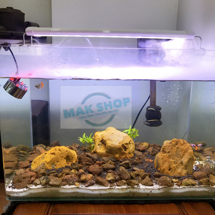 Máy Tạo Khói, Máy Phun Sương Mini, Cho Hồ Cá Cảnh, Hồ Thủy Sinh, Hồ Non Bộ, Tiểu Cảnh, Chậu Nước Thủy Tinh, Nguồn Adapter