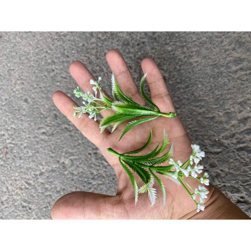 100gr cỏ điểm hoa các loại đã nhặt sạch cọng dư