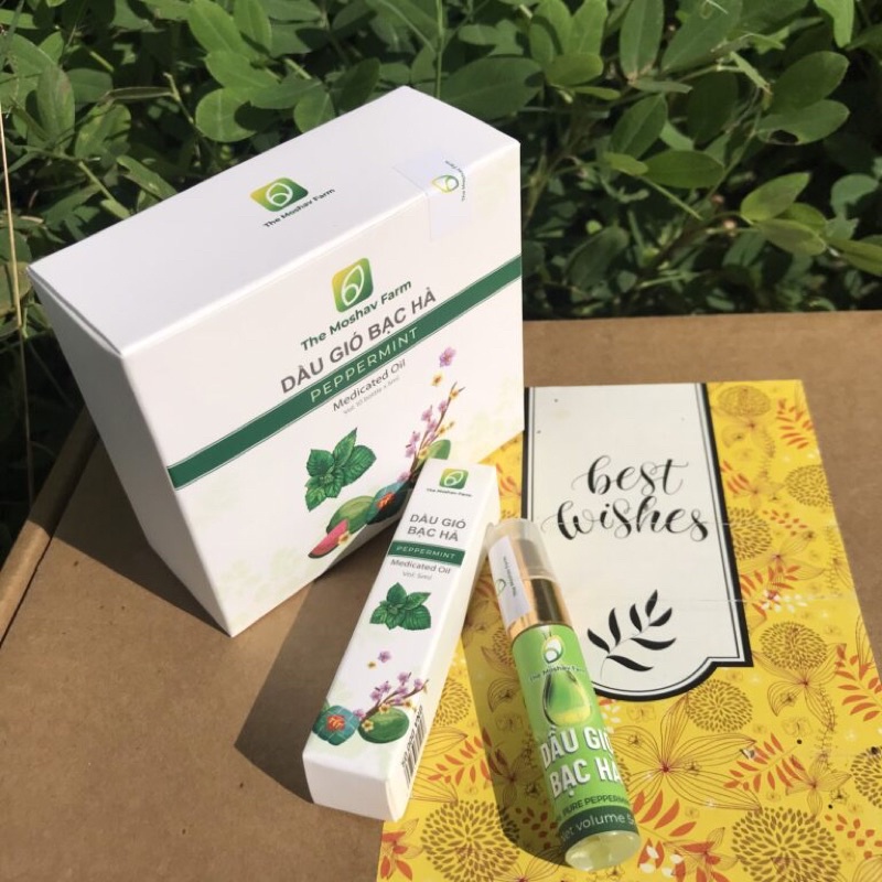 Hộp 10 chai dầu gió bạc hà dạng xịt