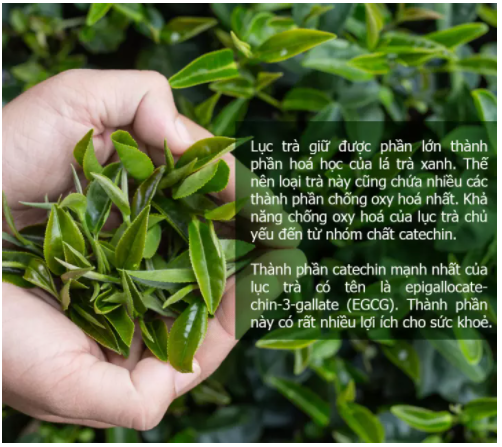 [HCM - Mã giảm 3%] 500Gr Lục Trà Thượng Hạng Mộc Sơn