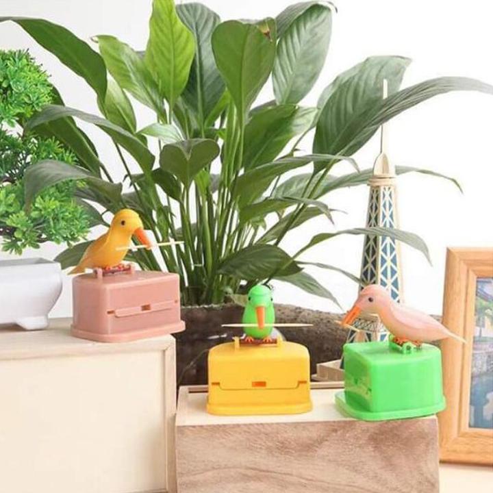 Hộp Tăm Chim Gắp Tăm