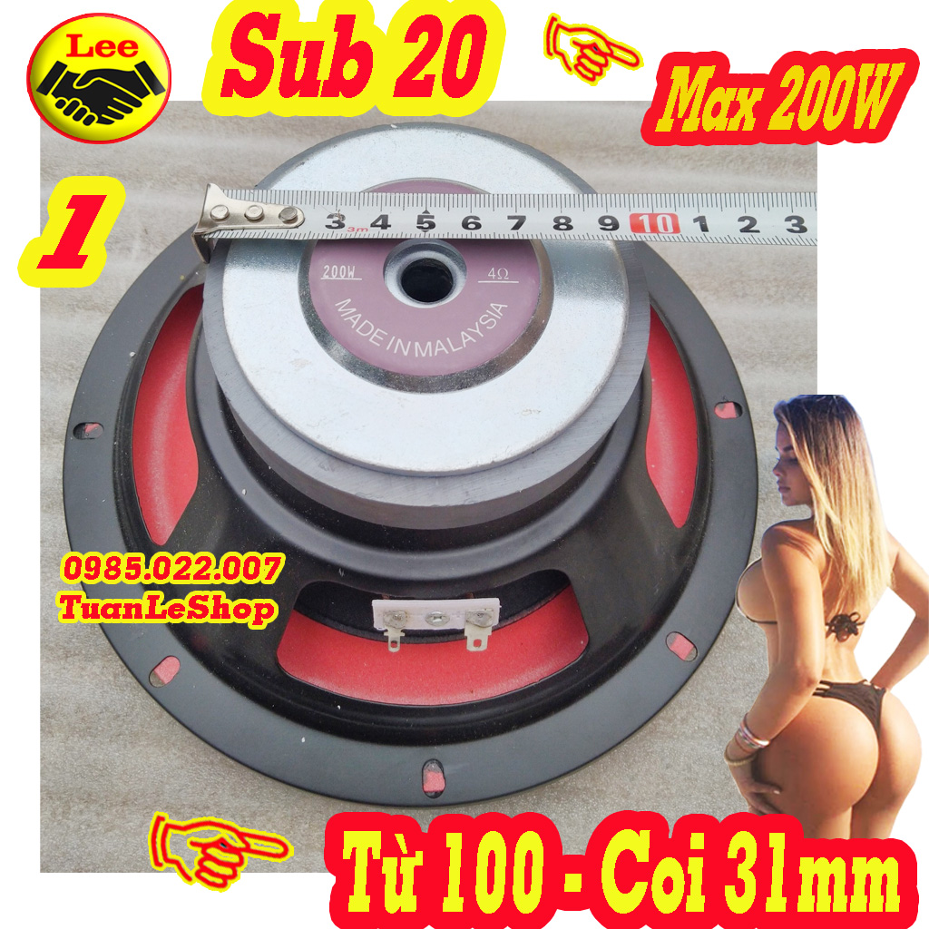 SUB BASS 20 - LOA SUB 20 TỪ 100 ĐỎ CAO CẤP