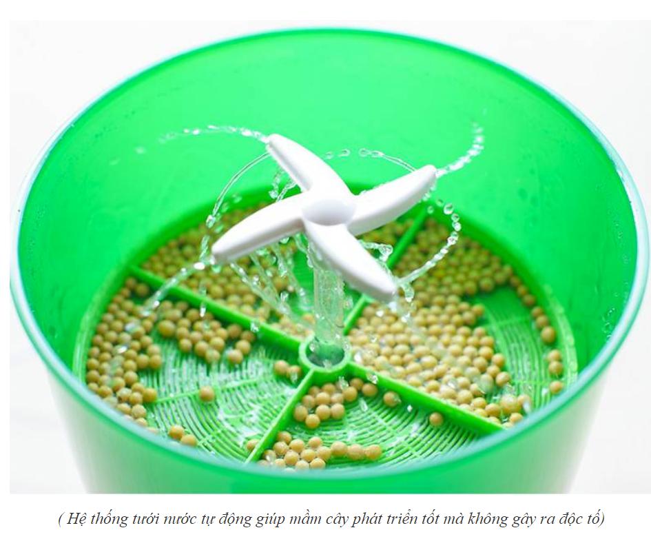 It smart - THỰC PHẨM HỮU CƠ SẠCH CÙNG VEGE MAKING