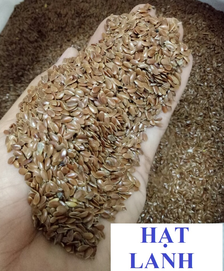 200g hạt lanh nâu cho chim, vẹt, người ăn được