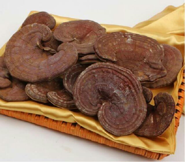 500g nấm linh chi đỏ