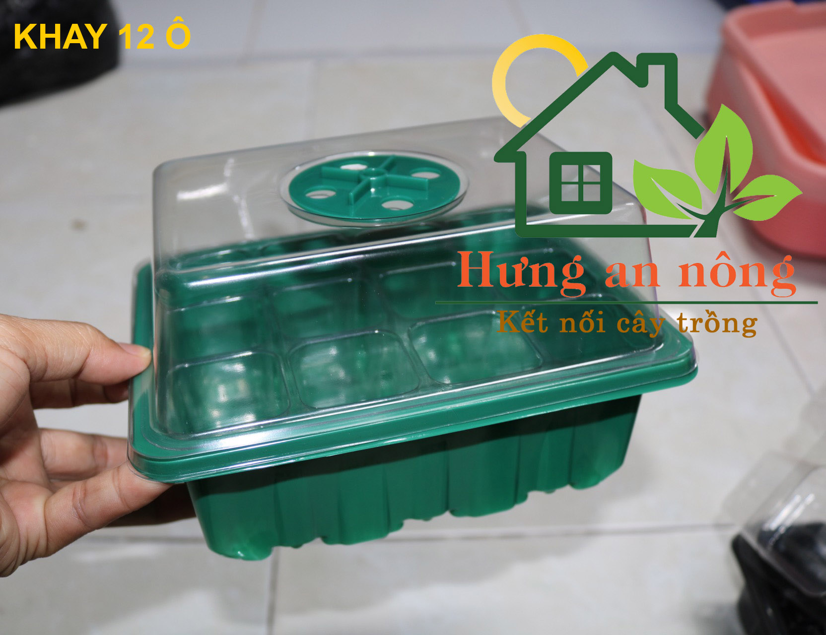 Hộp ươm hạt giống - màu xanh và đen 6/12 ô vuông có nắp đậy điều chỉnh nhiệt độ ẩm cây dễ dàng phát triển mạnh.