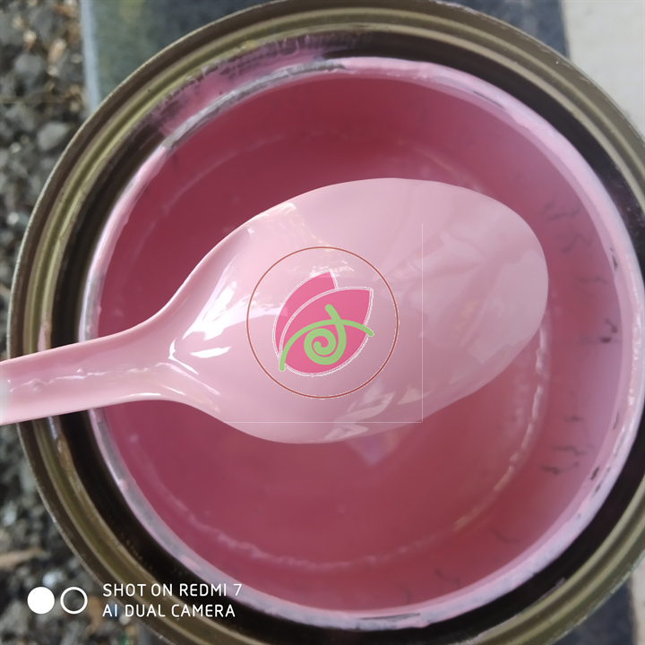 Sơn sắt mạ kẽm epoxy dolphin 2 thành phần màu hồng phấn loại 1kg