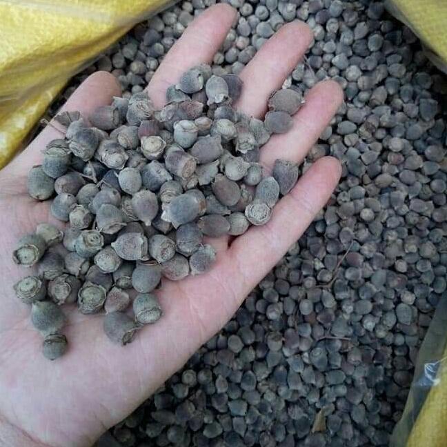 combo 2kg xim khô
