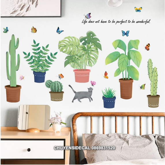 Decal trang trí tường - Nhiều Chậu Cây mẫu mới