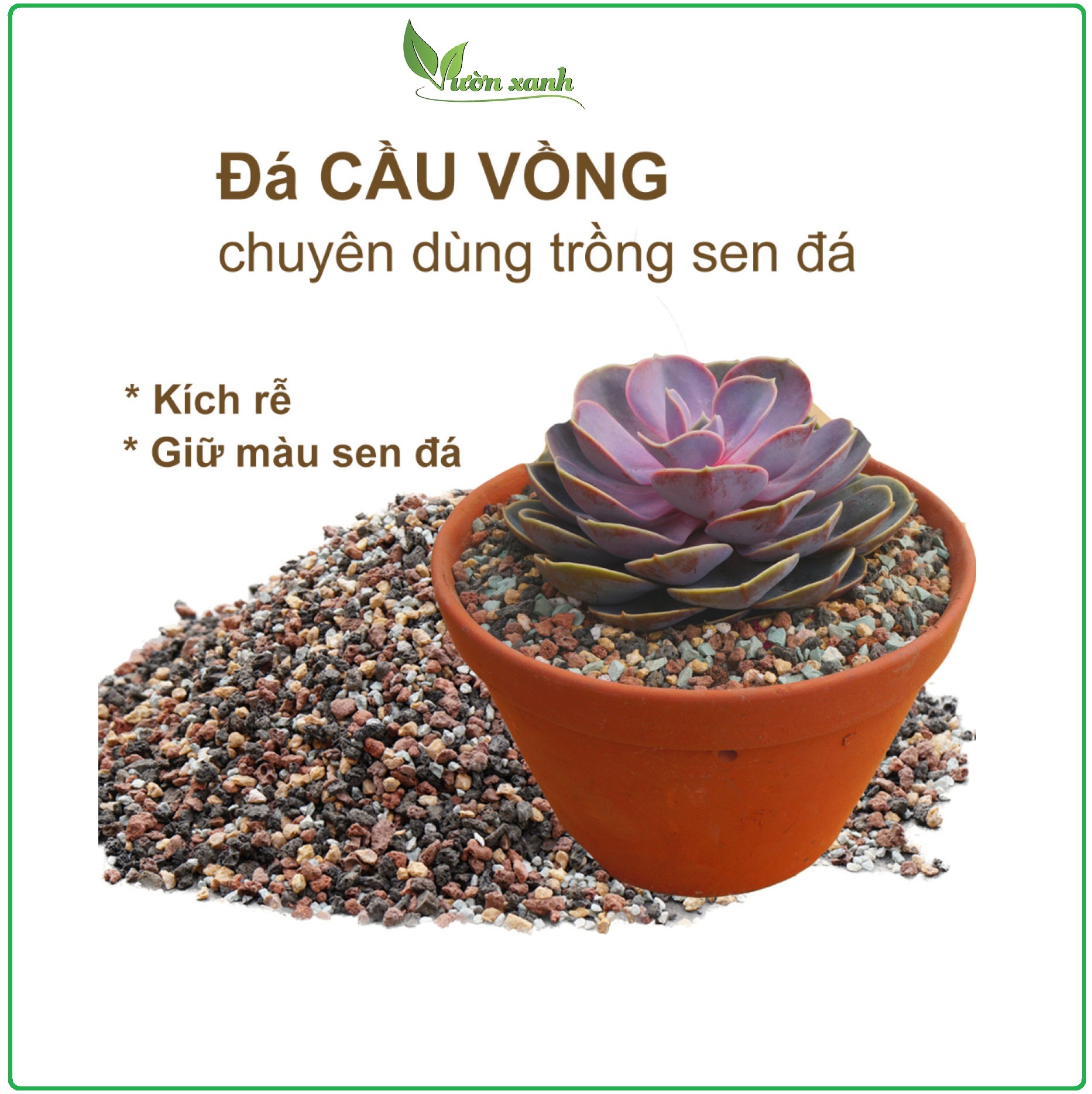 Đá cầu vồng - lên màu sen đá, giữ ẩm , thoát nước tốt cho sen đá, xương rồng