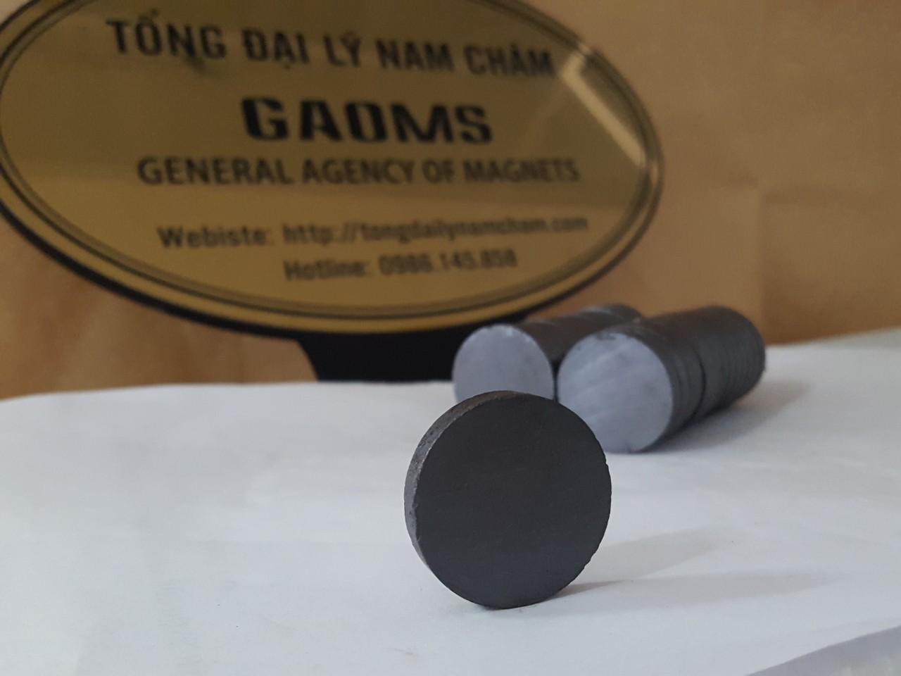 10 viên nam châm đen 30x5mm