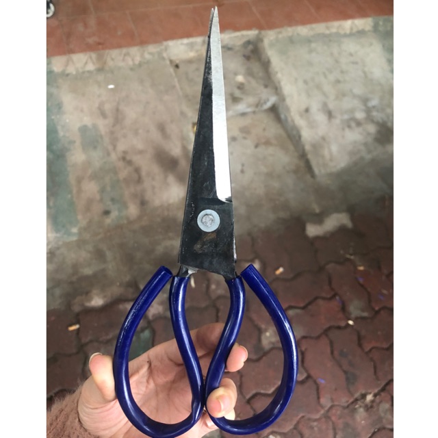 Kéo cắt đa năng đình thi siêu sắc