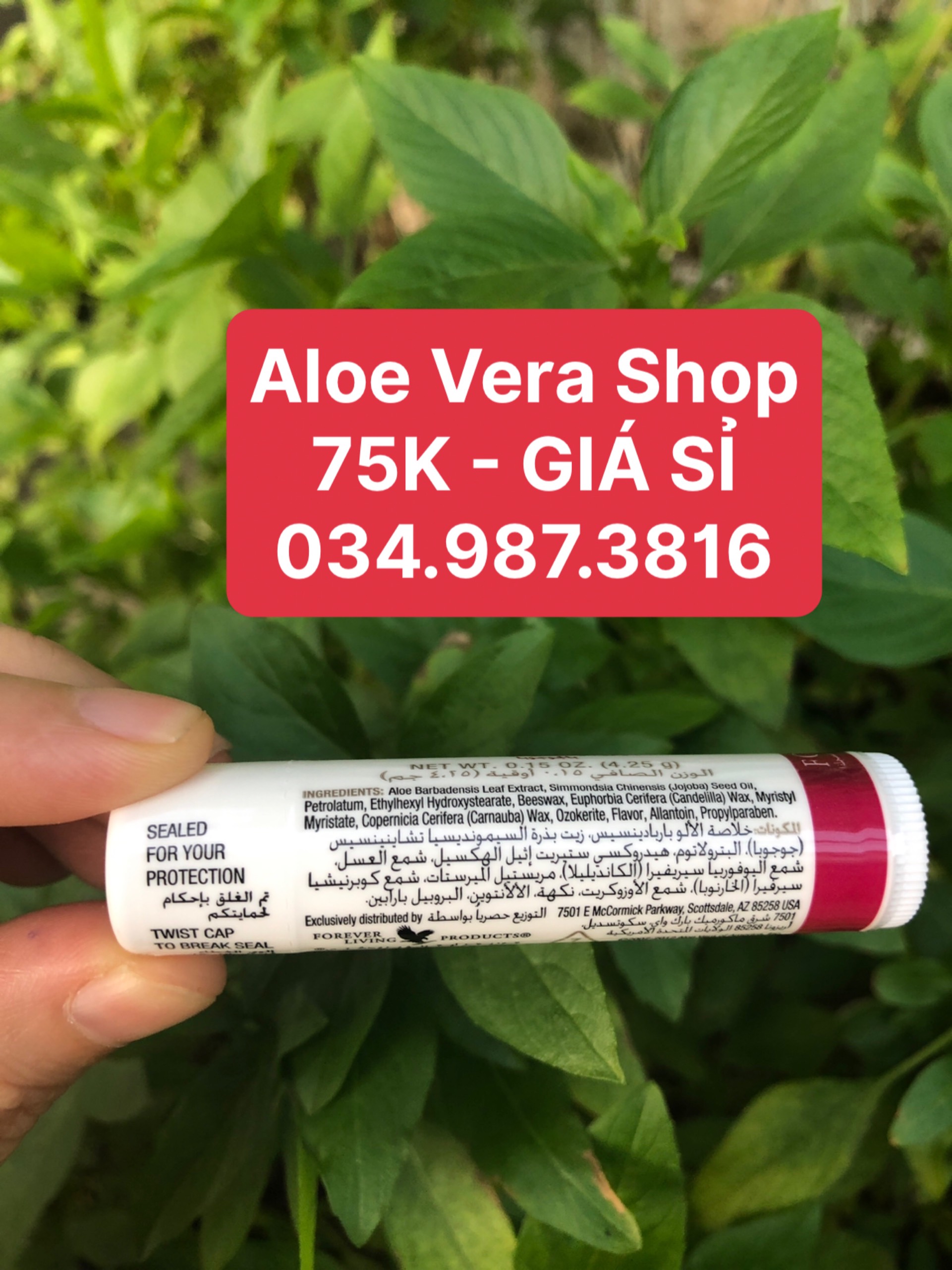 [RẺ VÔ ĐỊCH] Son Dưỡng Môi Đa Năng Aloe Lips FOREVER 022FLP - 022forever - 022lohoi